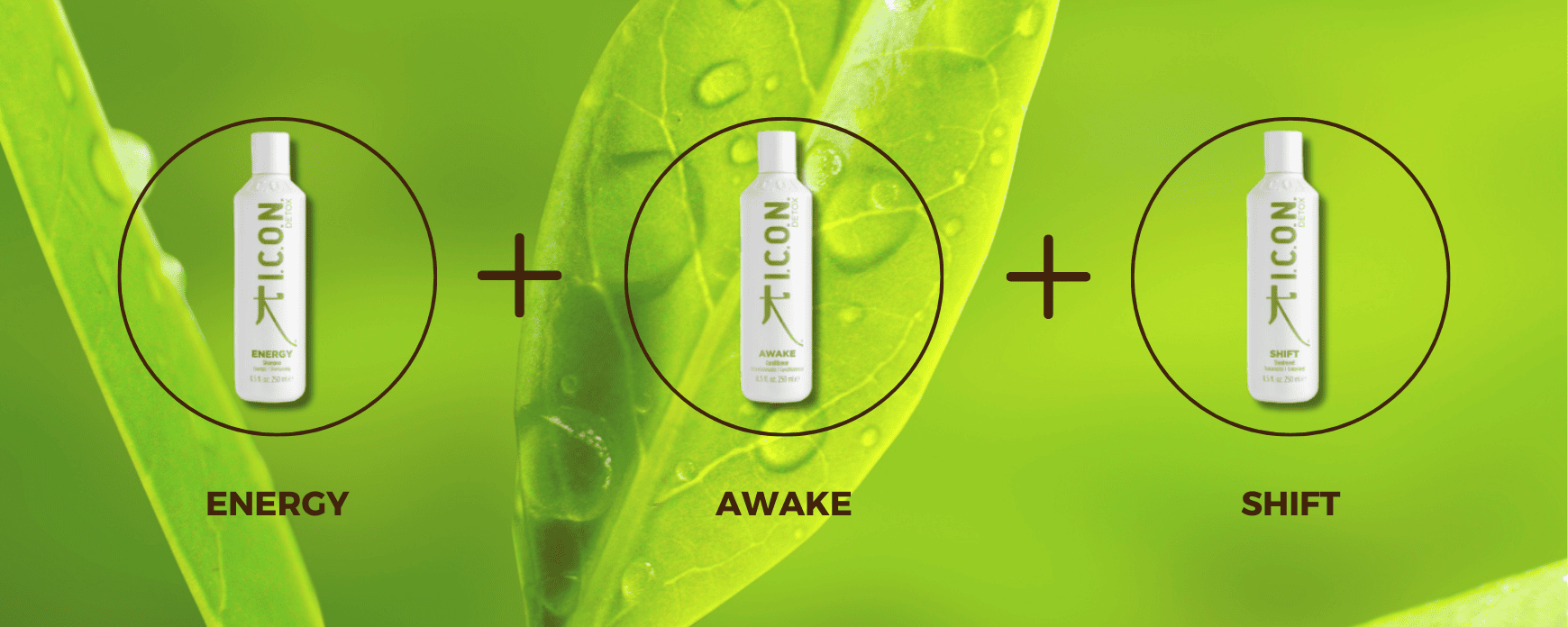 Opciones de tratamiento para el cabello graso en casa